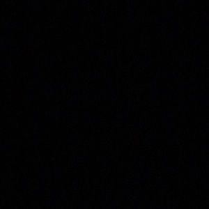 Meet your Posher, Camryn